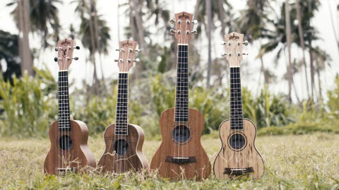 Sopraninė, koncertinė ar tenor ukulelė – kaip išsirinkti?